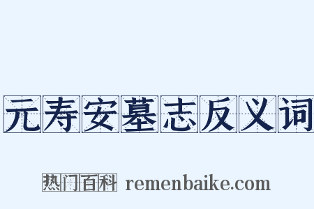 元寿安墓志反义词是什么意思的图片
